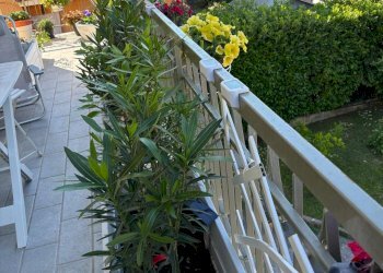 IMG-20250430-WA0044.jpg - Appartamento Sarzana - foto 29