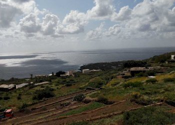 IMG-20250401-WA0024.jpg - Casale Pantelleria - foto 13