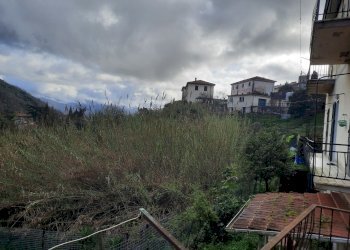 20250310_093651.jpg - Appartamento Ameglia - foto 5