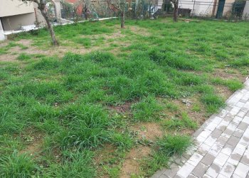 20250110_123720.jpg - Villa Trifamiliare Fosdinovo - foto 15