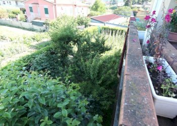 IMG_0045.JPG - Villa Luni - foto 5