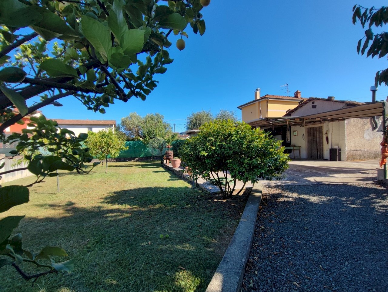 1752135386220.jpg - Terreno agricolo Arcola - foto 1