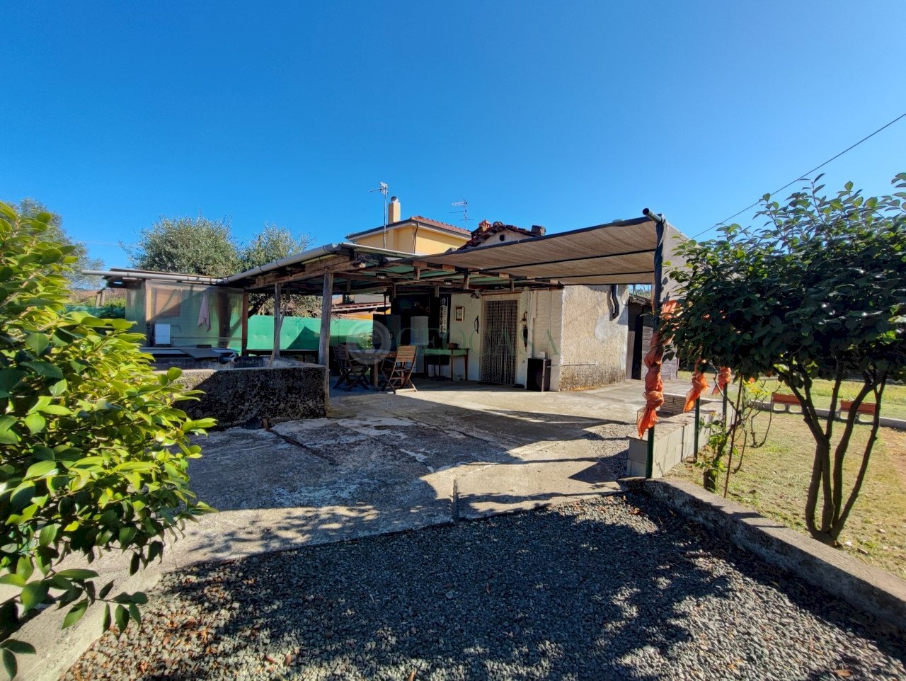 1752135386194.jpg - Terreno agricolo Arcola - foto 2