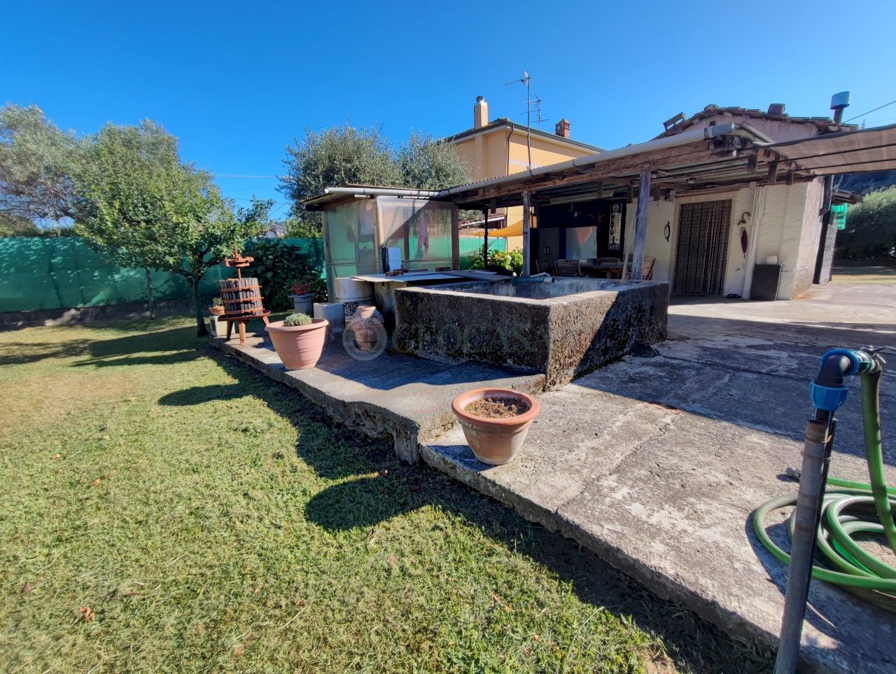 1752135386200.jpg - Terreno agricolo Arcola - foto 3