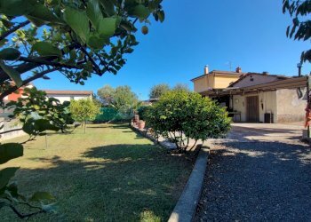 1752135386220.jpg - Terreno agricolo Arcola - foto 1