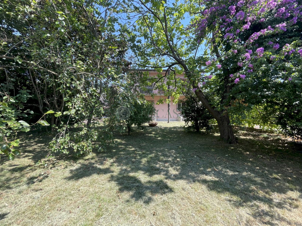 IMG_4835.jpg - Villa Via Bradiola 7, Sarzana - foto 3