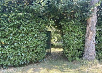 IMG_4836.jpg - Villa Via Bradiola 7, Sarzana - foto 24