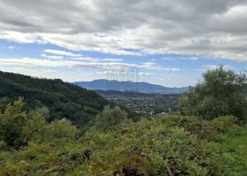 vendesi complesso di 2 rustici con piscine uliveto - Casale Via Casa Nuova, Pescia - foto 5