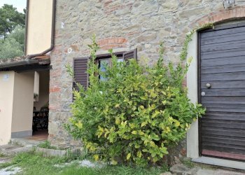 vendesi complesso di 2 rustici con piscine uliveto - Casale Via Casa Nuova, Pescia - foto 12