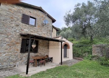 vendesi complesso di 2 rustici con piscine uliveto - Casale Via Casa Nuova, Pescia - foto 18