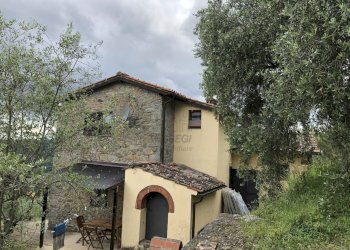 complesso colonico rustico vendesi colline toscane - Casale Via Casa Nuova, Pescia - foto 19