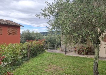 vendesi complesso di 2 rustici con piscine uliveto - Casale Via Casa Nuova, Pescia - foto 21