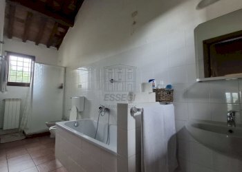 vendesi complesso di 2 rustici con piscine uliveto - Casale Via Casa Nuova, Pescia - foto 23
