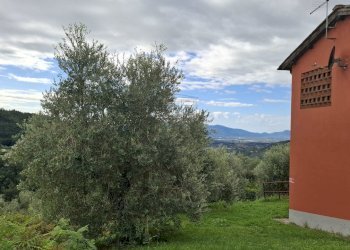 vendesi complesso di 2 rustici con piscine uliveto - Casale Via Casa Nuova, Pescia - foto 26