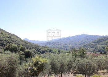 vendesi casa di campagna ristrutturata luccaIMG_77 - Rustico Località Partignano 2, Borgo a Mozzano - foto 30