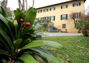 IMPORTANTE VILLA STORICA SULLA PRIMA COLLINA - Villa Via del Caporale 773, Lucca - foto 2