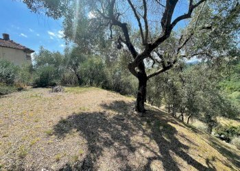 WhatsApp Image 2025-08-01 at 16.51.35 (2).jpeg - Casale SP1 24B, Pescaglia - foto 12