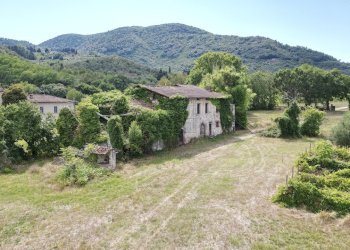 vendesi casa colonica da ritrutturare lucca collin - Casale Via del Cimitero ⅩⅩⅠⅠⅠ 529, Lucca - foto 3