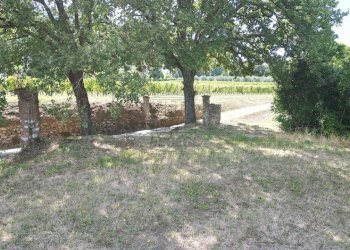 vendesi casa colonica da ritrutturare lucca collin - Casale Via del Cimitero ⅩⅩⅠⅠⅠ 529, Lucca - foto 18