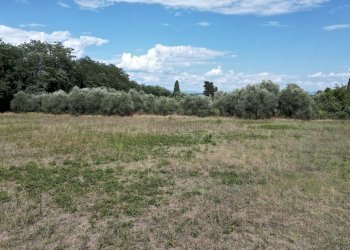 vendesi casa colonica da ritrutturare lucca collin - Casale Via del Cimitero ⅩⅩⅠⅠⅠ 529, Lucca - foto 19