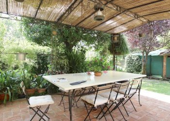 VENDESI RUSTICO CON PARCO CAPANNORI LUCCA collineI - Casale Via del Parco 9B, Capannori - photo 5