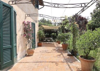 VENDESI RUSTICO CON PARCO CAPANNORI LUCCA collineI - Casale Via del Parco 9B, Capannori - photo 9