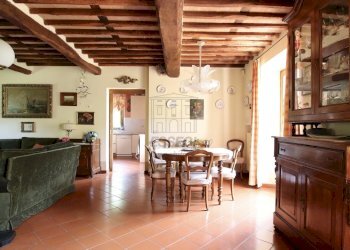 VENDESI RUSTICO CON PARCO CAPANNORI LUCCA collineI - Casale Via del Parco 9B, Capannori - photo 13