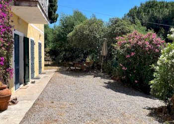 vendesi villa con vista porto con parco19d73d4c-0b - Casale Località Monte 4, Porto Azzurro - foto 12