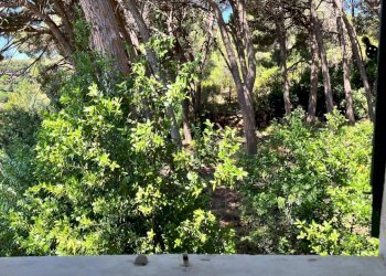 vendesi villa con vista porto con parcoebbfedd5-4a - Casale Località Monte 4, Porto Azzurro - foto 18