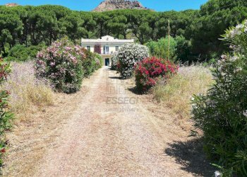 vendesi villa con vista porto con parcoDJI_0282.JP - Casale Località Monte 4, Porto Azzurro - foto 20