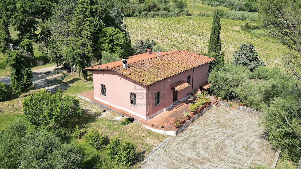 vendesi rustico con podere e vigna lucca colline D - Casale Via della Chiesa XXXI 536, Lucca - foto 3