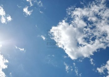 vendesi rustico con podere e vigna lucca colline D - Casale Via della Chiesa XXXI 536, Lucca - foto 4