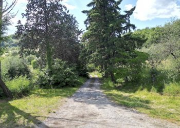 vendesi rustico con podere e vigna lucca colline D - Casale Via della Chiesa XXXI 536, Lucca - foto 6