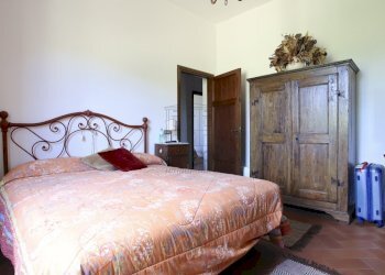 vendesi rustico con podere e vigna lucca colline I - Casale Via della Chiesa XXXI 536, Lucca - foto 9