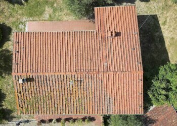 vendesi rustico con podere e vigna lucca colline D - Casale Via della Chiesa XXXI 536, Lucca - foto 26