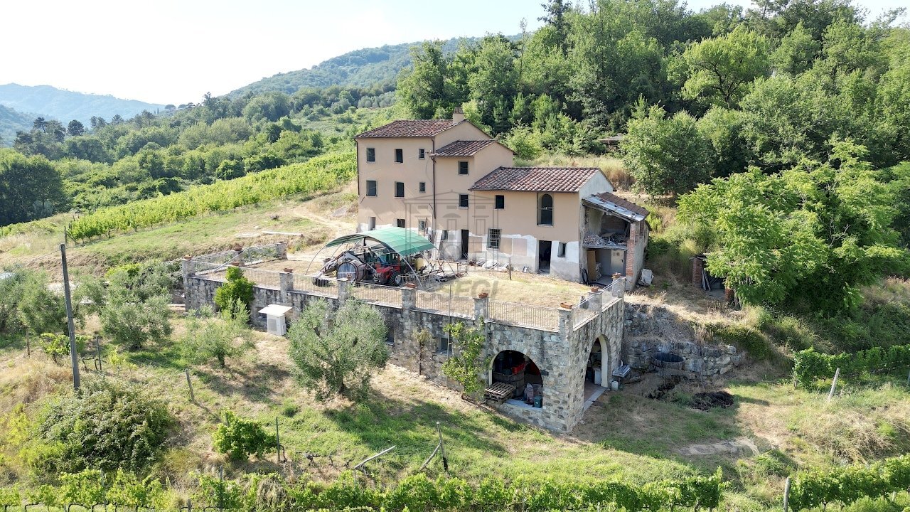 vendesi rustico con vigneto lucca colline DJI_0574 - Casale Via del Francia 95, Lucca - foto 1