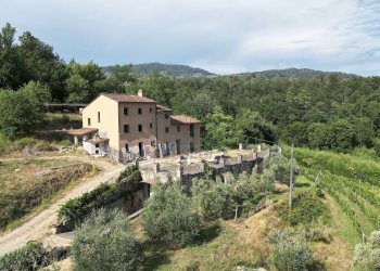 vendesi rustico con vigneto lucca colline DJI_0575 - Casale Via del Francia 95, Lucca - foto 3