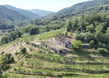 vendesi rustico con vigneto lucca colline DJI_0577 - Casale Via del Francia 95, Lucca - foto 4