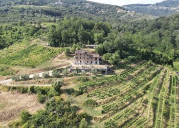 vendesi rustico con vigneto lucca colline DJI_0581 - Casale Via del Francia 95, Lucca - foto 7