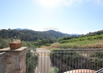 vendesi rustico con vigneto lucca colline IMG_6922 - Casale Via del Francia 95, Lucca - foto 11