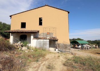 vendesi rustico con vigneto lucca colline IMG_6930 - Casale Via del Francia 95, Lucca - foto 17