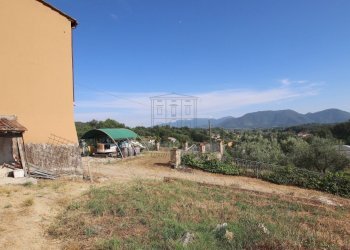 vendesi rustico con vigneto lucca colline IMG_6932 - Casale Via del Francia 95, Lucca - foto 18