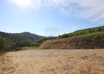 vendesi rustico con vigneto lucca colline IMG_6935 - Casale Via del Francia 95, Lucca - foto 21