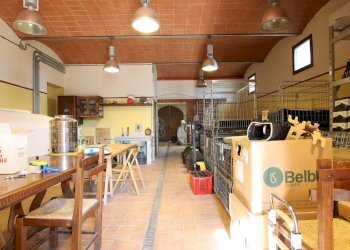 vendesi rustico con vigneto lucca colline IMG_6936 - Casale Via del Francia 95, Lucca - foto 22