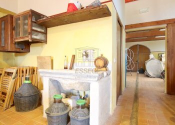 vendesi rustico con vigneto lucca colline IMG_6937 - Casale Via del Francia 95, Lucca - foto 23