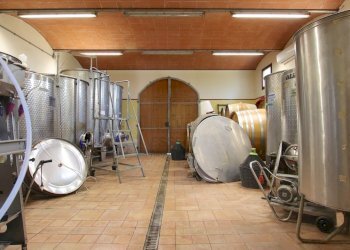 vendesi rustico con vigneto lucca colline IMG_6938 - Casale Via del Francia 95, Lucca - foto 24