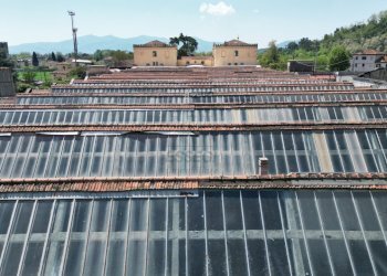 vendesi capannone lucca DJI_0050.JPG - Locale Commerciale Via della Chiesa di Saltocchio 171, Lucca - foto 4