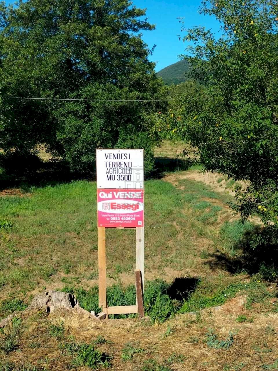 Vendesi terreno agricolo 3500 mq - Agricultural land Via per Chiatri, Lucca - photo 1