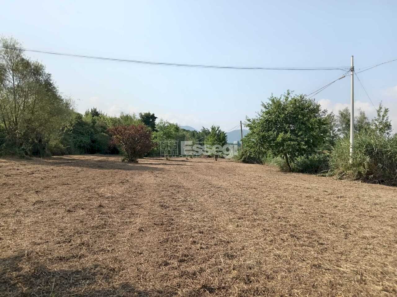 foto terreno - Terreno agricolo Via per Chiatri, Lucca - foto 3