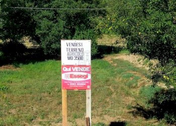 Vendesi terreno agricolo 3500 mq - Agricultural land Via per Chiatri, Lucca - photo 1